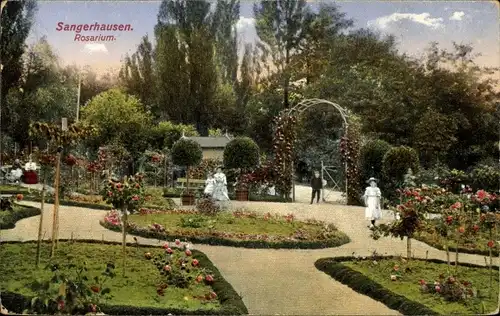 Ak Sangerhausen am Südharz, Rosarium