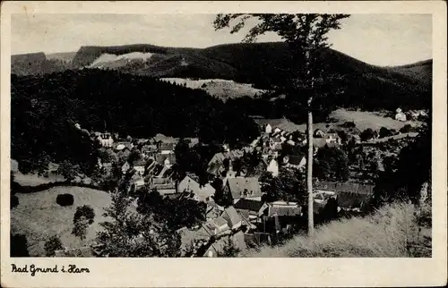 Ak Bad Grund im Harz, Panorama vom Ort