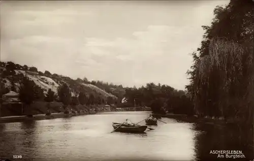Ak Aschersleben im Salzlandkreis, Ruderboote, Burgteich