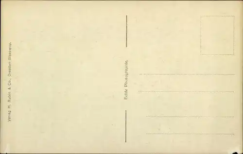 Ak Aschersleben im Salzlandkreis, Ruderboote, Burgteich