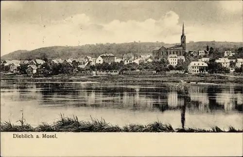 Ak Dieblich an der Mosel, Gesamtansicht