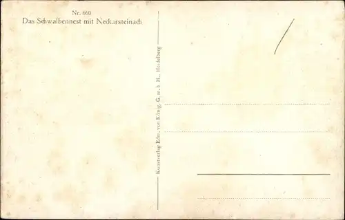 Künstler Ak Hoffmann, H., Neckarsteinach in Hessen, Schwalbennest mit Ortsansicht 