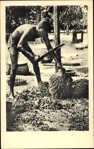 Ak Dahomey Benin, Egrenage des amandes de palmistes au machette