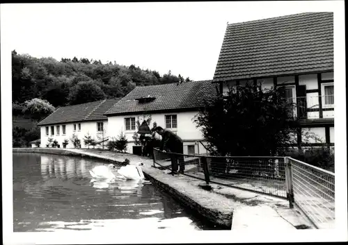 Foto Ak Winterscheid Ruppichteroth in Nordrhein-Westfalen, am Zaun, Fachwerkhaus, Schwäne