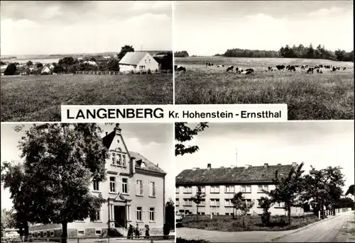 Ak Langenberg Callenberg in Sachsen, Gesamtansicht, Rathaus, Straßenpartie