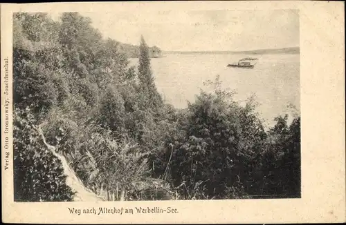 Ak Altenhof Schorfheide am Werbellinsee, Wegepartie mit Seeblick