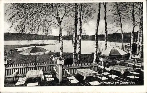 Ak Linde in der Mark, Wirtshaus am Lindesee, Seeblick, Sonnenschirme, Birken