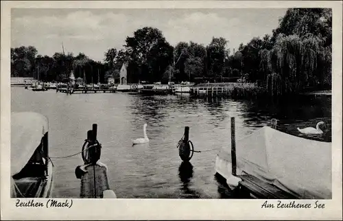 Ak Zeuthen in der Mark, Am Zeuthener See