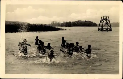 Ak Lychen in der Uckermark, Fröhlicher Badebetrieb im großen Lychensee