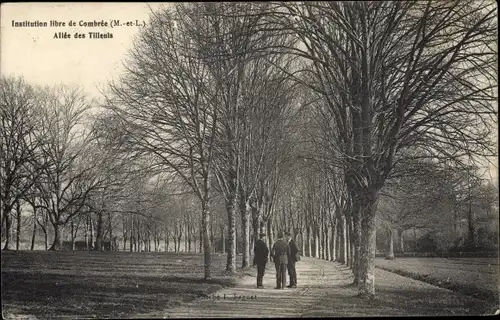 Ak Combrée Maine et Loire, Allée des Tilleuis