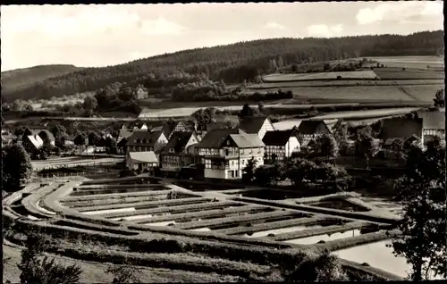 Ak Albaum Kirchhundem im Sauerland, Teichanlage, Landesfischanstalt