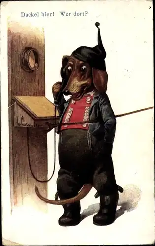 Ak Dackel hier, wer dort, vermenschlichter Hund am Telefon