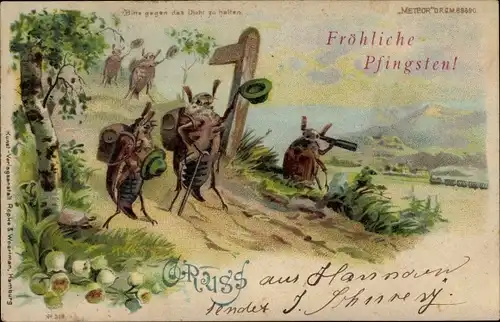 Halt gegen das Licht Litho Glückwunsch Pfingsten, Maikäfer, Wanderer