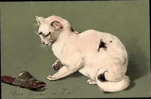 Präge Litho Weiße Katze mit schwarzen Flecken, alter Pantoffel
