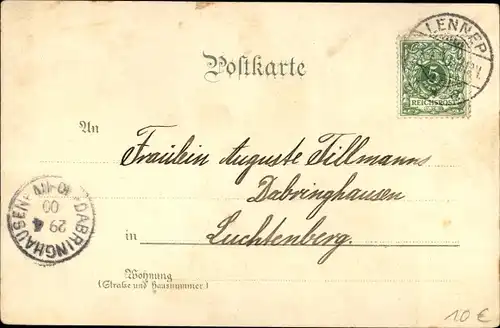 Litho Gruß vom Bodensee, Salondampfer, Möwe