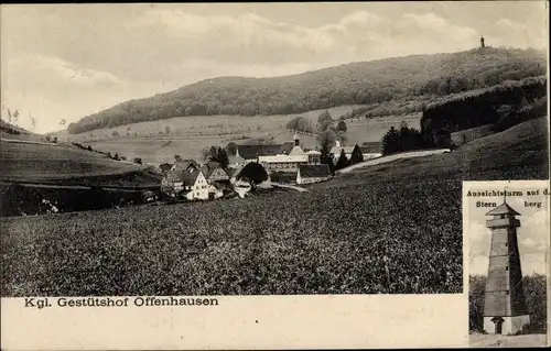 Ak Offenhausen Gomadingen Baden Württemberg, Kgl. Gestütshof, Aussichtsturm auf dem Sternberg
