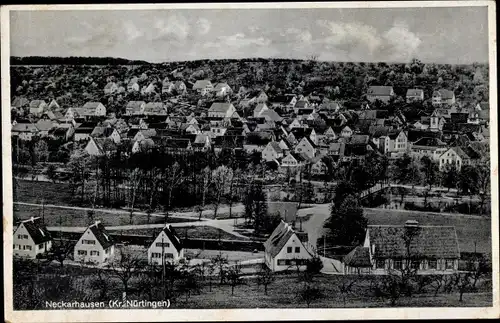 Ak Neckarhausen in Baden, Blick auf den Ort