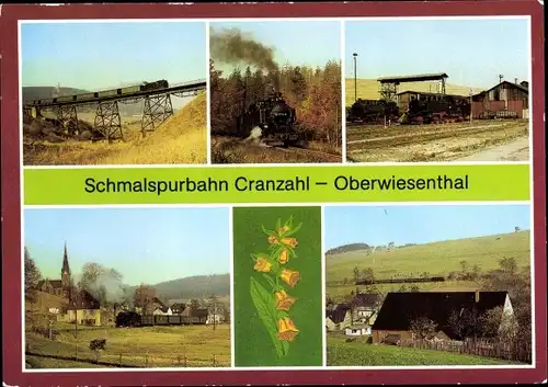 Ak Oberwiesenthal im Erzgebirge, Strecke Cranzahl Oberwiesenthal, Schmalspurbahn, Lok