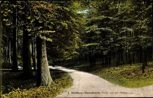 Ak Hamburg Harburg Hausbruch, Partie aus der Haake
