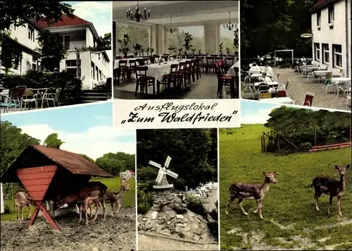 Ak Havixbeck in Westfalen, Gasthaus Zum Waldfrieden, Damwildgehege, Besitzer Schulz Hülsmann