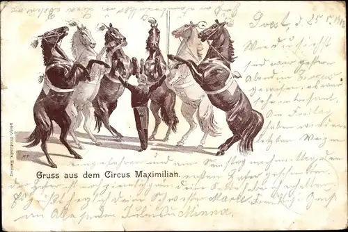 Ak Circus Maximilian, Zirkus, Pferdedressur