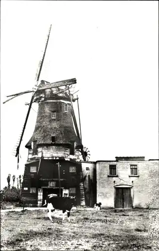 Ak Wognum Medemblik Nordholland Niederlande, Molen De Vriendschap