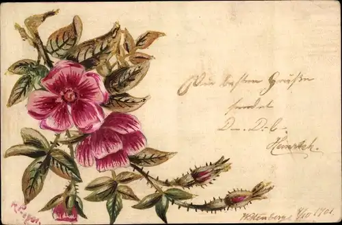 Handgemalt Ak Heckenrose