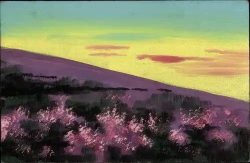 Handgemalt Ak Landschaft, Wiese mit lila Blüten