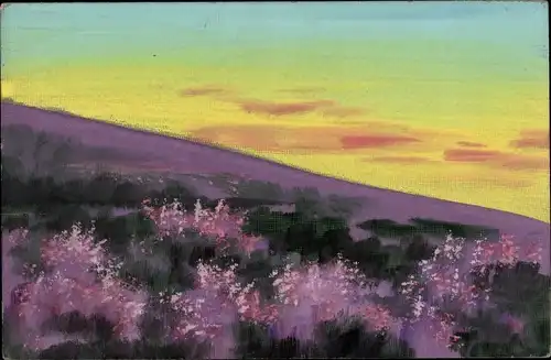 Handgemalt Ak Landschaft, Wiese mit lila Blüten