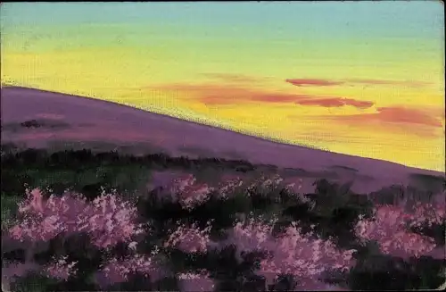 Handgemalt Ak Landschaft, Wiese mit lila Blüten