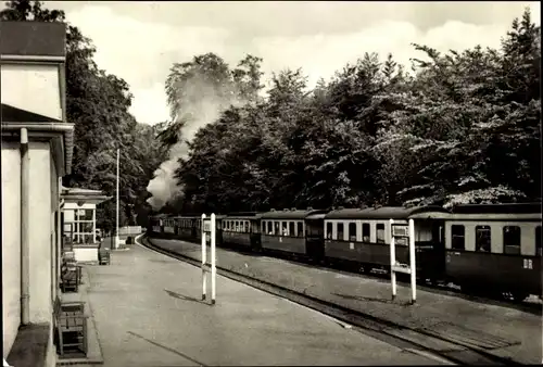 Ak Seebad Heiligendamm Bad Doberan, Bahnhof mit Bäderbahn Molli