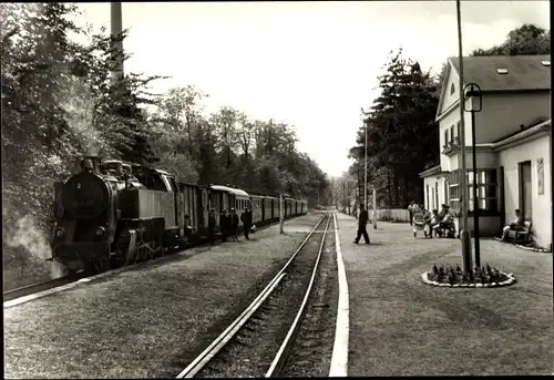 Ak Seebad Heiligendamm Bad Doberan, Bäderbahn Molli im Bahnhof