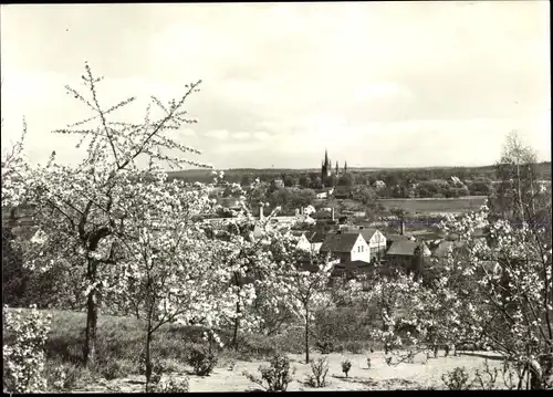 Ak Werder an der Havel, Blick von der Wachtelburg