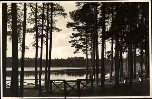 Foto Trzcianka Schönlanke an der Ostbahn Posen, Am Zaskersee