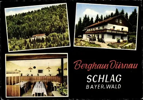 Ak Schlag Grafenau im Bayerischen Wald, Berghaus Dürnau, Wald