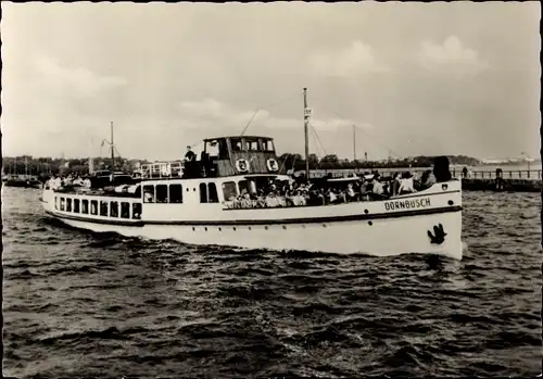 Ak MS Dornbusch auf Fahrt, Weiße Flotte Stralsund