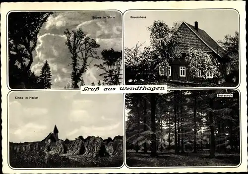 Ak Wendthagen Stadthagen Niedersachsen, Kirche, Bauernhaus, Buchenhain