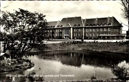 Ak Waltrop im Ruhrgebiet, Hirschkampschule, Stutenteich