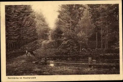 Ak Bendestorf am Kleckerwald in Niedersachsen, Rehtränke, Kleckerwald