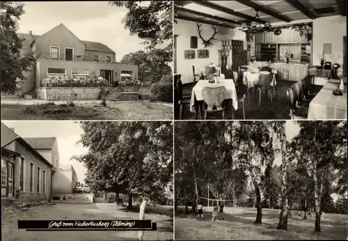 Ak Coswig in Anhalt, Betriebsferienheim Hubertusberg, Terrassenpartie