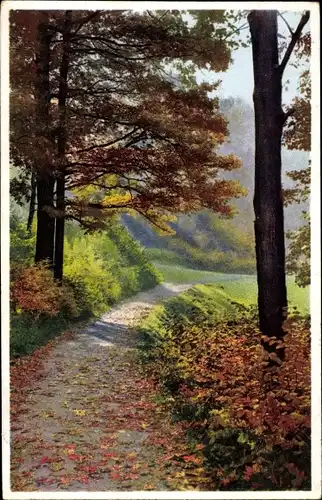 Ak Nenke & Ostermaier Serie 371 Nr 5157, Herbstlandschaften, Photochromie