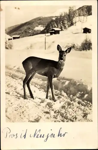 Ak Glückwunsch Neujahr, Winterlandschaft mit Reh