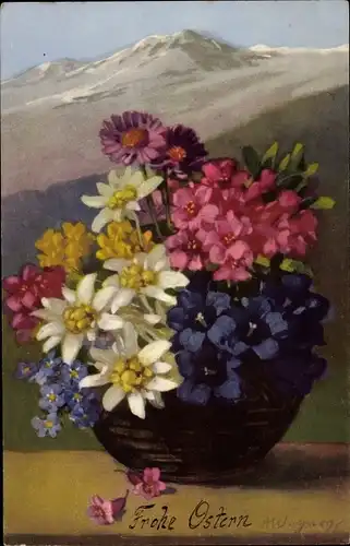 Ak Nenke und Ostermaier Serie 588, Gebirgsblumen, Enzian, Edelweiß, Photochromie