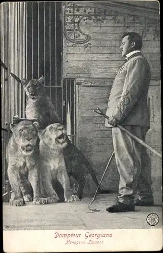 Ak Dompteur Georgiano, Menagerie Laurent, Löwen