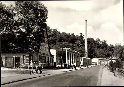 Ak Alexisbad Harzgerode am Harz, Gaststätte Goldene Rose