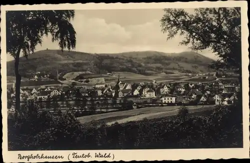 Ak Borgholzhausen in Westfalen, Gesamtansicht