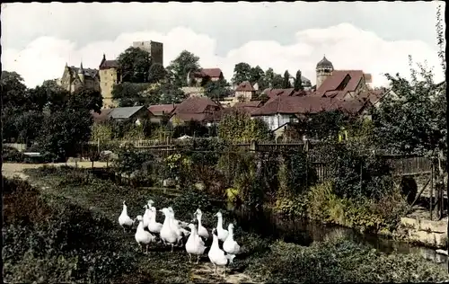 Ak Adelebsen in Niedersachsen, Teilansicht vom Ort, Gänseschar, Fluss