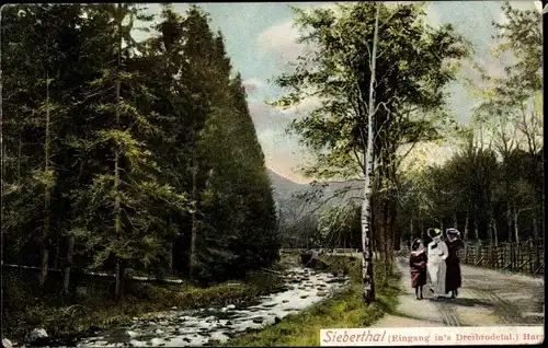 Ak Herzberg am Harz, Siebertal, Eingang Dreibrodetal