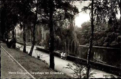 Ak Sodingen Herne im Ruhrgebiet, Tiergehege am Gysenberg