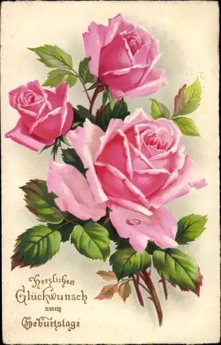 Ak Glückwunsch Geburtstag, Drei rosa Rosenblüten